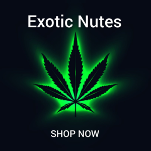 Exotic Nutes